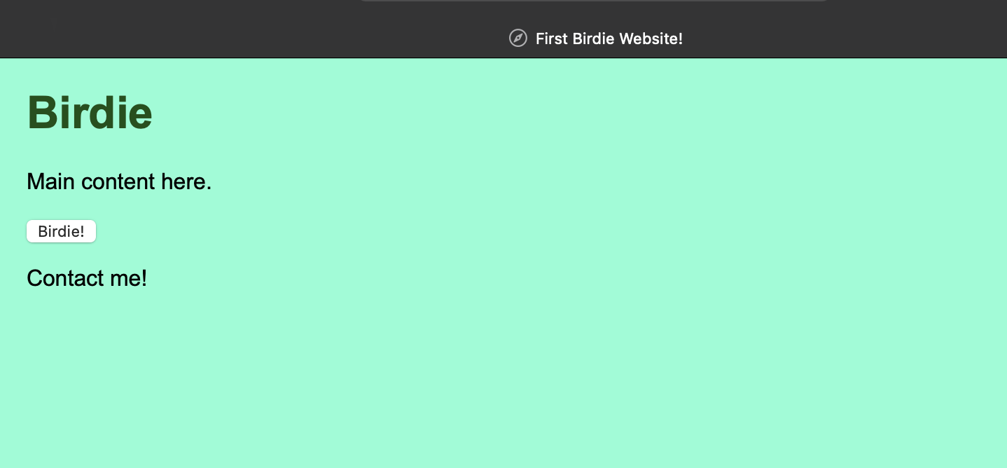 First Website